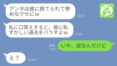 【LINE】私の婚約者を奪って結婚した女と同窓会で再会「略奪されて人生惨めだねw」→負け組と見下すクズ幼馴染と絶縁し今の立場を伝えた結果…w【総集編】【スッキリLINEなう】