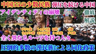 徹底解説！圧倒的多数の漢民族と中国55の少数民族！全く異なる文化やルーツを持つ人々に行った中国政府の政策とは？【スマホdeLINE】