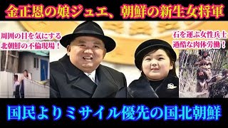 徹底解説！ミサイル優先の北朝鮮。今年何発発射したの？ロイヤルファミリーや農村部の貧しい暮らしを10分にまとめ！【スマホdeLINE】