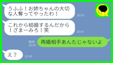 【LINE】逆恨みで旦那を奪った妹「これは復讐よ！ざまーみろw」→勝気な妹に全く復讐になっていないことを伝えた結果…w【総集編】【ミドリのネタ帳】