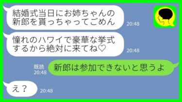 【LINE】結婚式開始3分前に私の婚約者を奪って消えた妹から結婚式の招待状「ハワイでやるから来てね♡」私「新郎は参加できないと思うよ」→実は…【ミドリのネタ帳】