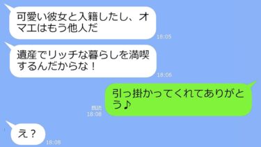 【LINE】15年間の姑の介護を終えると旦那「浮気相手と隠し子いるから離婚！遺産は全部俺のもの！」→私「どうぞどうぞ♪」アフォ男のお望み通り離婚してあげた結果ｗ【修羅場】【スカッと】【LINEサロン】