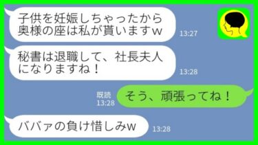 【LINE】経営者の夫の職場で働く秘書から突然の略奪宣言「社長夫人の座は私がもらうんでw」→夫に丸投げされてた仕事を全て放置してきた結果www【ミドリのネタ帳】