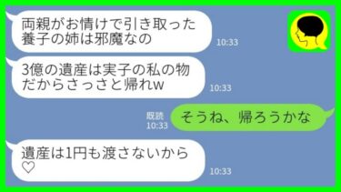 【LINE】私が血の繋がりのない両親の遺産を3億円相続したことを知らずにコップの水をかけて追い返した妹「他人はさっさと帰れよw」私「そうね、帰ろうかなw」→帰った結果www【ミドリのネタ帳】