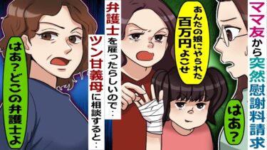 ママ友から突然の慰謝料請求「うちの娘から幼稚園の発表会の主役を横取りしただろ！」→弁護士も雇ったらしく･･【スカッと総集編】【知人のLINE物語】