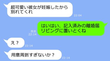 【LINE】夫「25歳年下の愛人が妊娠したから離婚してくれ」→私「じゃあ娘だけ連れてくね」→夫「は？子供たち全員連れてけよ」→私「無理、だってその子達…」【LINEサロン】