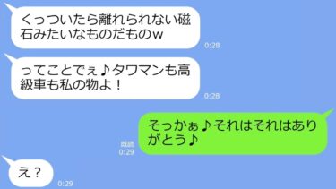 【LINE】ママ友から突然の略奪宣言「旦那もタワマンも高級車も私の物よ！」→私「ありがとう♪」全部くれてやった結果ｗｗw【総集編】【LINEサロン】