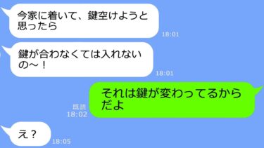 【LINE】我が家の夏休み旅行なのに勝手に息子を押しつけ浮気ハワイ旅行に行くママ友→帰国したアフォ女に天罰が続々と下った結果ｗ【総集編】【LINEサロン】