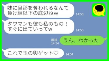 エリート夫と結婚してタワマン最上階に引っ越した途端に略奪した妹「私が住むことになったから出てってw」→浮かれる妹たちを置いてすぐに出ていった結果www【ミドリのネタ帳】