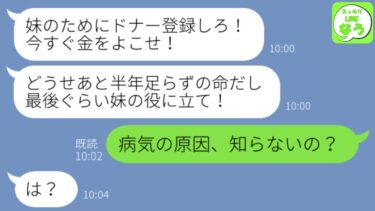 【LINE】余命半年と宣告された私を見捨てて美人の大学生の妹と再婚した元夫からドナー要求「最後に妹の役に立て！」→私が妹の本性を教えたら浮気男が真っ青にw【スッキリLINEなう】