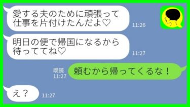 【LINE】長期出張を終えた私が夫に連絡「明日の便で帰国するから」夫「頼むから帰ってくるな！」→帰った結果www【ミドリのネタ帳】