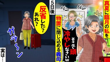 【スカッと】臨月の私を物置に閉じ込めて出かけた義母→5日後帰宅した義母が扉を開けると… 【総集編】【新作あり】【漫画】【アニメ】【スカッとする話】【2ch】【モニロボ】