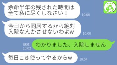 【LINE】余命半年の宣告された私への嫁いびりを楽しむ姑→全てを知った旦那がブチギレた結果、義母の末路が…ｗ【スッキリLINEなう】