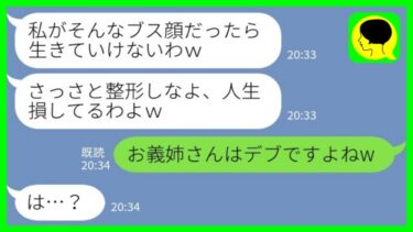 【LINE】義実家に帰る度に私をブスと見下してくる義姉「整形しないの？w」→我慢の限界だったので、こっちも本気出した結果www【ミドリのネタ帳】