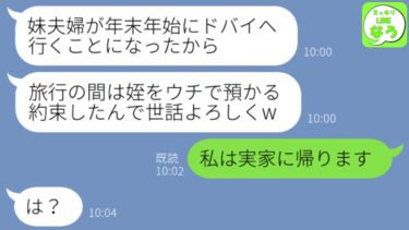 【LINE】夫が何の相談も無しに年末年始に生後6ヶ月のコトメ子を預かる約束をした→旦那に育児任せて私は実家に帰った結果w【スッキリLINEなう】