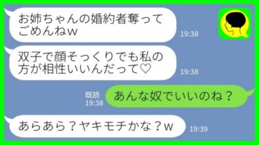 【LINE】私の婚約者を略奪した双子の妹「同じ顔でも私の方が相性いいんだって♡」→浮かれる妹に婚約者の本性を伝えた時の反応がwww【ミドリのネタ帳】