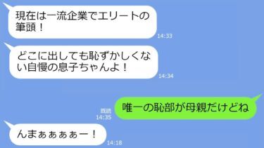 【LINE】社長の息子への結婚の挨拶で私を金目当てと決めつけ水をぶっかけてきた婚約者の母親「貧乏人が寄生してくんなｗ」→婚約破棄後、私の正体を知った姑は…【総集編】【LINEサロン】