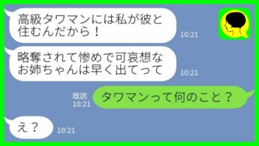 【LINE】夫と離婚した途端に略奪婚した妹「高級タワマンには彼と住むから捨てられた惨めな女はさっさと出てけ！」私「タワマンて何のこと？」→勝ち誇る勘違い妹に全て説明してあげたら…【ミドリのネタ帳】