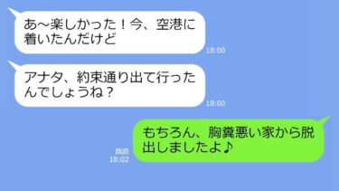 【LINE】年収3000万の嫁を貧乏人と勝手に勘違い！家族旅行で置き去りにした姑→旅行中、私の正体を知り大慌てで迎えに来たが…後の祭りｗ【総集編】【LINEサロン】