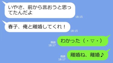 【LINE】20年間、実の娘のように育てた連れ子が結婚した途端、旦那「家政婦とは離婚だw」→私「わかりました」…私を家政婦扱いしたアフォ夫の末路ｗ【総集編】【LINEサロン】