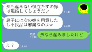 【LINE】5年間不妊の私を不良品と言って夫と別れさせようとする義母「孫も産めない役立たずの嫁は離婚でw」私「孫なら産みましたけど」→大慌てで手のひらを返す義母のその後が…www【ミドリのネタ帳】