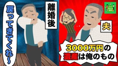 【LINE】両親からの3000万の遺産を独り占めする為に熟年離婚を切り出した夫→妻よりもお金を取った男に天罰が下るｗｗ【スカッと】【スカッと生活】