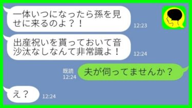 【LINE】義母から突然のブチ切れ連絡「いつになったら孫を見せに来るの？！」私「え、夫が行ってませんか？」→実は…【ミドリのネタ帳】