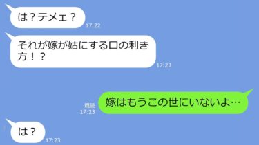 【LINE】妊娠中に嫁に病気が発覚。医者から「嫁か子供か？」の選択に姑が「子供で！」と即答 →ブチ切れた旦那と義父がある行動を取った結果が…【総集編】【LINEサロン】