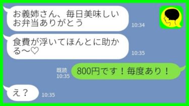 【LINE】私が毎朝作っている弁当を勝手に持っていく同居の義妹「いつも美味しいお弁当ありがとう♡」私「800円です！毎度あり！」→有料にした結果…【ミドリのネタ帳】