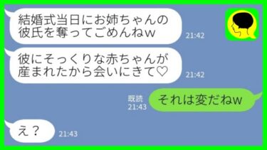 【LINE】結婚式当日に私の新郎を奪った妹から出産報告「彼にそっくりなの♡抱っこしに来てね！」私「それは変だねw」→幸せ自慢してくる妹にとっておきの話を教えた結果www【ミドリのネタ帳】