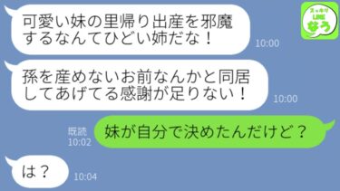 【LINE】同居中の母が突然大激怒の連絡「妹の里帰り出産を邪魔するなんて最低すぎる！」姉「それ妹が決めたことなんだけど…」母「は？」→身勝手すぎる勘違いに我慢の限界だったので真実を伝えた結果w【スッキリLINEなう】