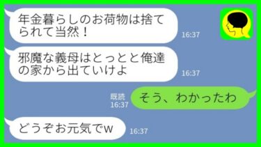 【LINE】スーパーでパートしながら娘夫婦と同居している60代の私を見下す婿「年金暮らしのお荷物は捨てることにしましたw」私「そう、わかったわ」→出ていった結果www【ミドリのネタ帳】