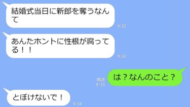 【LINE】結婚式当日、幼馴染からブチギレ連絡「私の新郎奪うなんてサイテー」→私「1年前に結婚してるけど」…次の瞬間、衝撃の事実が明らかになると…ｗ【LINEサロン】