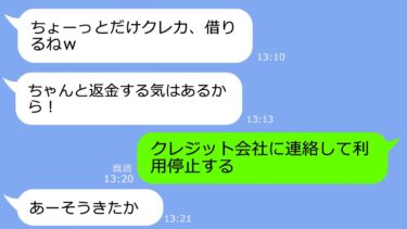 【LINE】私の財布からクレカを奪い勝手に50万使い込んだ泥ママ「ちょっと借りただけｗ」→私「上限まで使えばいいじゃない♪」…結果ｗ【総集編】【LINEサロン】