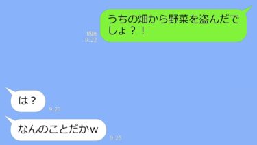 【LINE】毎日、真夜中にウチの畑に無断侵入して野菜を盗むママ友→うちの野菜を売って稼いでいた泥女の末路ｗ【LINEサロン】