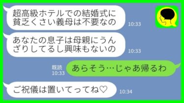 【LINE】息子の結婚式当日に女手一つで息子を育て上げた私を追い返した新婦「貧乏くさい義母は不要ですw」私「あらそう、じゃあ帰るわ」→結果…【ミドリのネタ帳】