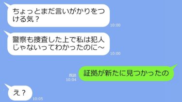 【LINE】私が経営するカフェに泥棒に入ってすっとぼけるママ友「証拠もないのにいい加減にして」→アフォ女の嘘を盛大に暴いてやった結果ｗ【総集編】【LINEサロン】