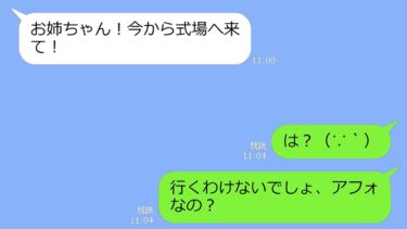 【LINE】ブスな私は美人の妹に婚約者を奪われて家を出た。結婚式当日、浮かれるアフォ女に自業自得な末路が訪れるｗ【修羅場】【スカッと】【LINEサロン】