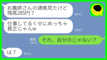 【LINE】私の通帳を見て勝手に貧乏人と勘違いして追い出した同居の義妹「残高285円ってw」私「それ、自分のじゃない？w」→嫁の本当の稼ぎを知って手のひら返しをしてきた義妹の末路がwww【ミドリのネタ帳】