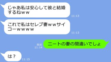 【LINE】私の婚約者の年収を勘違いして奪った同僚女「これで私もセレブだわｗ」→超絶勘違いしてるアフォ女に真実を告げた時の反応がｗ【LINEサロン】