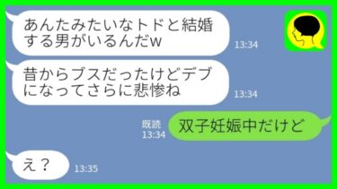 【LINE】私をブスと見下す同級生と10年ぶりに再会「ブスがデブになってさらに悲惨だねw」私「双子妊娠中だけど」→勝ち組人生を自慢する同級生の反応が…w【ミドリのネタ帳】