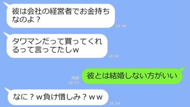 【LINE】月収8万の私の婚約者を大金持ちと勘違いして奪った親友からマウント連絡「彼がタワマン買ってくれるってw」→勝ち誇る女が厳しい現実に気づいた時の反応がｗ【LINEサロン】