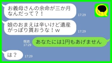 【LINE】夫「お義母さん余命三か月なんだって？遺産がっぽりもらおうな！」→この後、なぜか夫が土下座する事態に…www【ミドリのネタ帳】