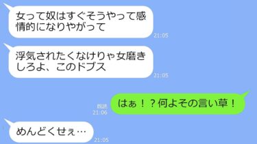 2024年11月17日総集編【LINE】アフォ夫「浮気される方も悪い」産後でボロボロな時期に夫の不倫が発覚したので不倫相手とコンタクトを取ってみたらとんでもない嘘発覚…ｗ【修羅場】【LINEサロン】