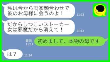 【LINE】両家顔合わせに出席すると息子の婚約者にいきなり殴られた「彼につきまとうストーカー女は消えろ！」私「初めまして、母です」→真実を知った時の婚約者の反応が…www【ミドリのネタ帳】