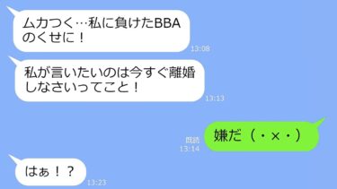 【LINE】私が出産した数日後、浮気相手も出産。夫「頼む！別れてくれ！」→断固拒否すると浮気相手は子供を置いて失踪…数十年後の修羅場がヤバいｗ【総集編】【LINEサロン】