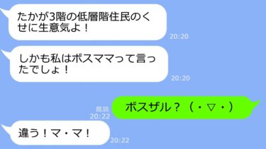 【LINE】タワマン高層階に住むママ友が低層階の私を見下してきた「3階なんて無理しちゃってｗ」→勘違いしているマウント女を自宅に招待した結果ｗ【スカッと】【LINEサロン】