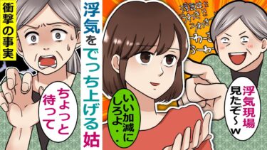 嫁の浮気をでっち上げる姑「証拠はあるわよ！さっさと別れなさいよｗ」→真実を伝えたところ･･【スカッと総集編】【知人のLINE物語】