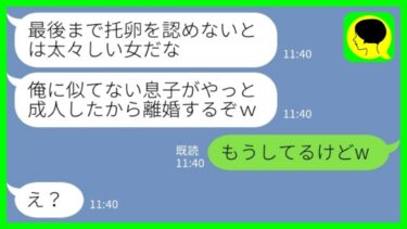 【LINE】夫に10年間嫌われ続けた私→長男の成人式当日に夫「離婚しようぜw」私「もうしてるけどw」→実の息子を托卵だと決めつけてきた勘違い男の末路がwww【ミドリのネタ帳】