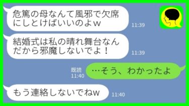 【LINE】危篤の母を無視して自分の結婚式を優先した妹「私の晴れ舞台を邪魔するな！」私「そうだね、ごめんね」→結婚式当日…【ミドリのネタ帳】